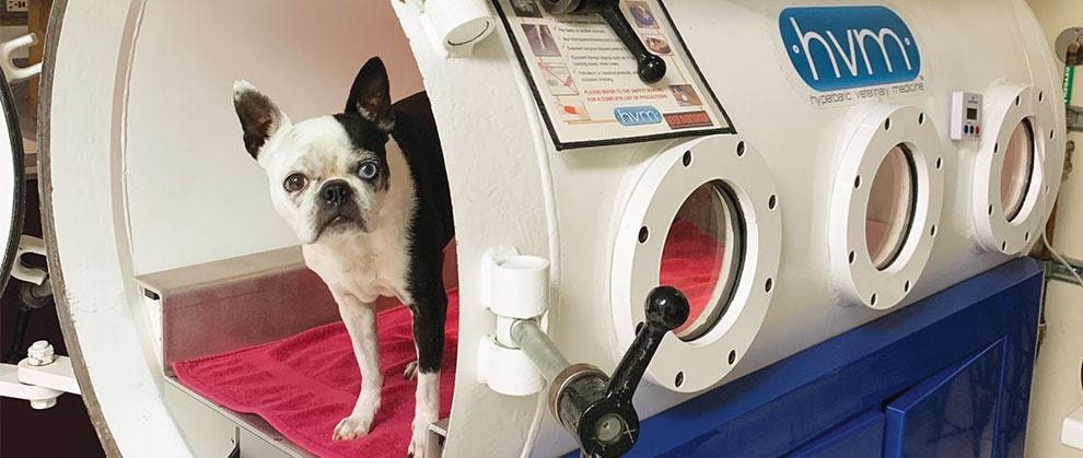Bariatric Chamber