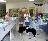 Animal Care Clinic interior
